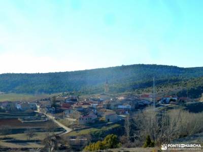 Rambla del Avellano-Arbeteta; bosques magicos que hacer en la sierra de madrid monasterio santa mari